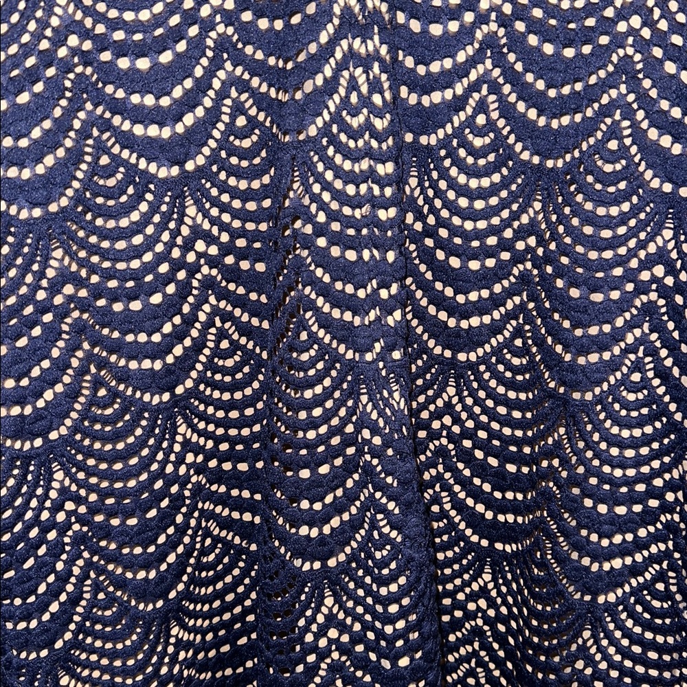Elegant Navy Lace Dress - Picture 5 of 6